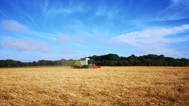 Harvest challenges ‘stacking up’ for cereal and oilseed rape