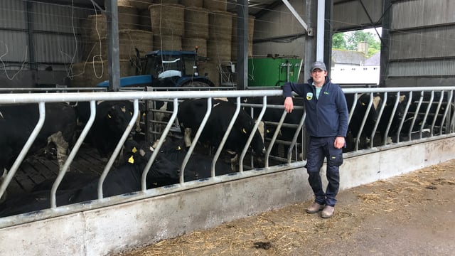 Making adjustments and moving away from Friesian bulls in Co. Cork