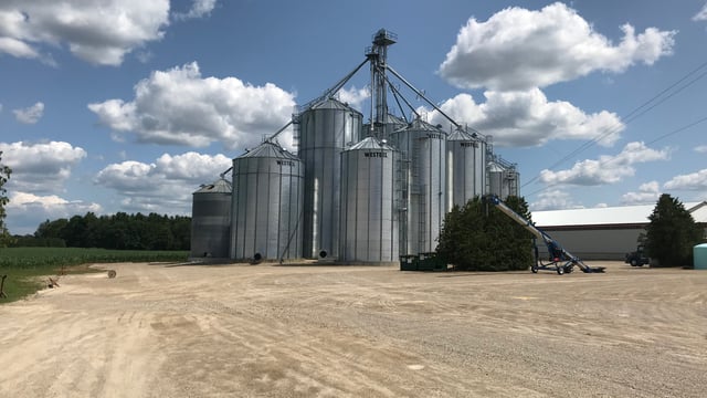 Grain price: No sign of anything to shake up markets