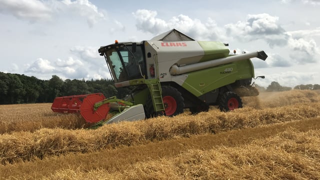Tillage focus: This farm will soon have its own whisky and beer