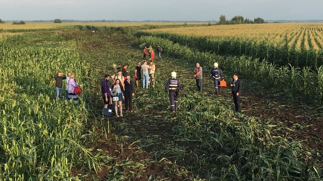 Video: Passenger jet makes emergency landing in maize field