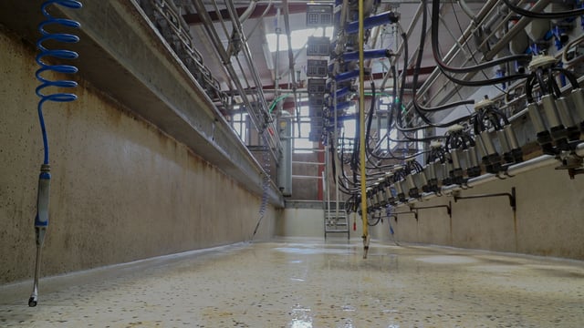 Kerry announces leading milk price payment for 2024 supplies