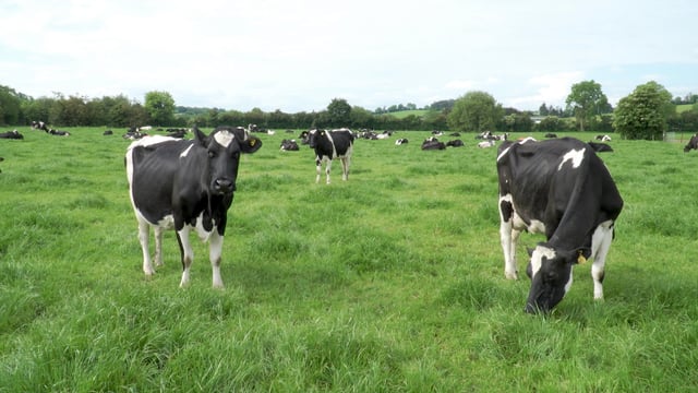 Environmental coalitions publish agricultural policy recommendations