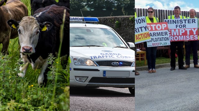The week that was: Protests aplenty, but where to from here?