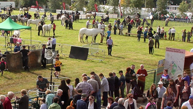 All set to go in Cavan for the Virginia Show 2019