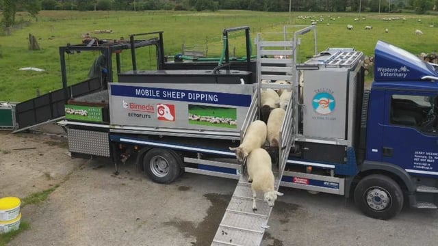 On the road...with a mobile sheep dipping rig