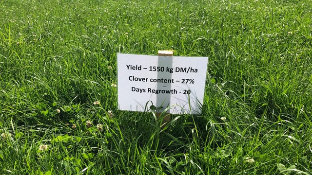 Grass growth: Have no fear; the rain is here
