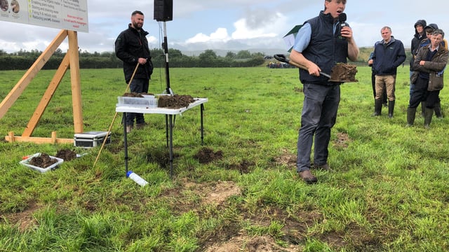 Grass production: Thinking below the ground...