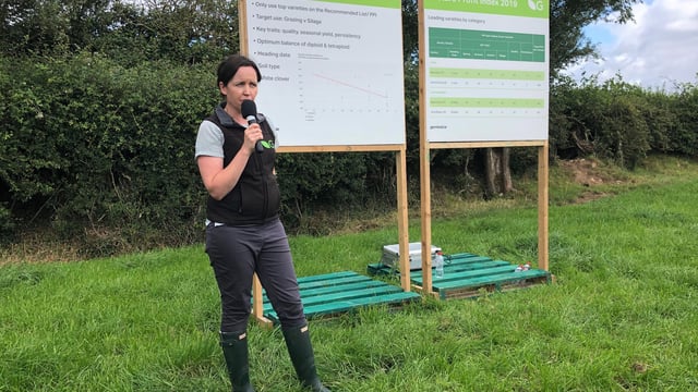 Do you know what grass varieties you will sow this autumn?