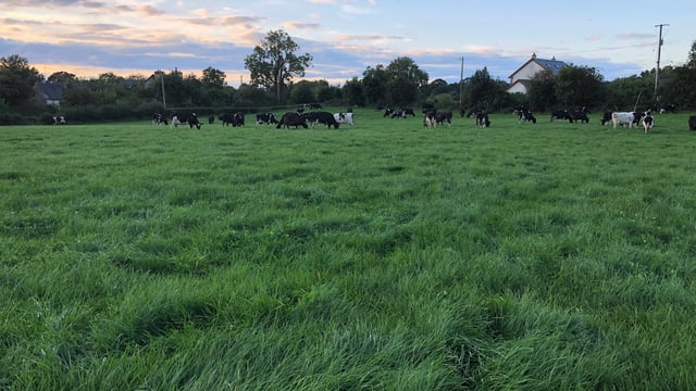 Grass growth: Making building covers a piece of cake