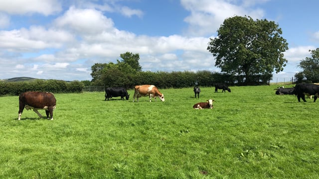 Drier weather and higher temperatures to return