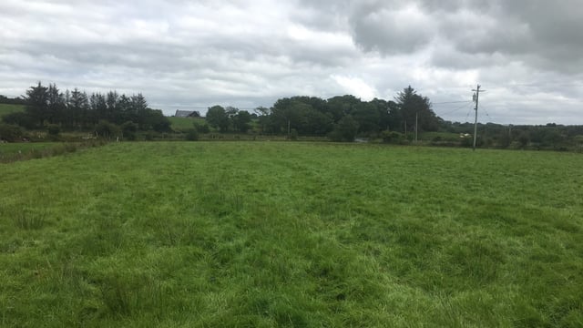 Weather affects value of prime grassland at start of 2025