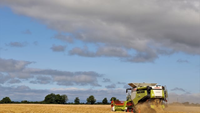 Harvest pics: Have you entered yet?