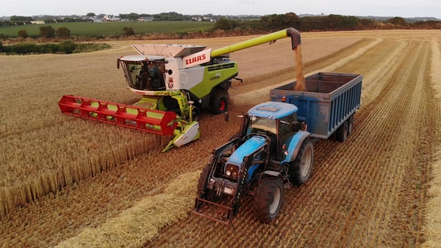 Grain price: Unsettled, but not going to jump anywhere fast