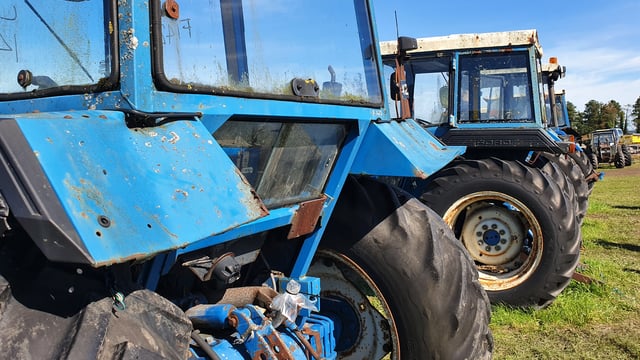 Auction report: 4-pot Fords aplenty…at the 'big bog sale'