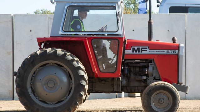 Auction report: 'If she is not red...'