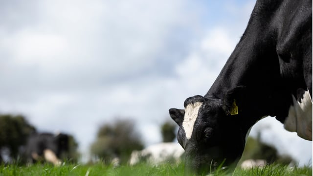 New service launched to improve farm efficiency and sustainability