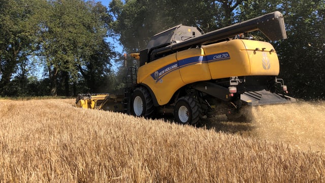 Harvest update: Majority harvested in east Cork