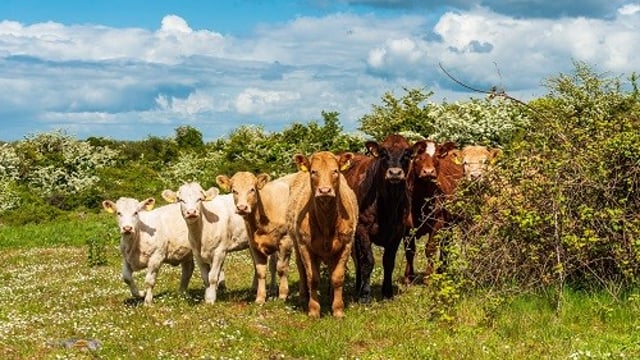 10 Farming for Nature ambassadors announced