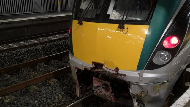 Lengthy delays caused following train collision with cow