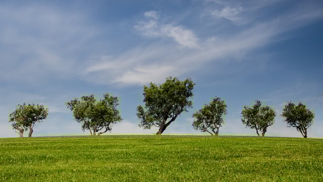 Farm Sustainability Passport Scheme proposed