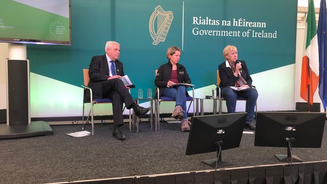 How can Irish agri-food businesses best prepare for Brexit?