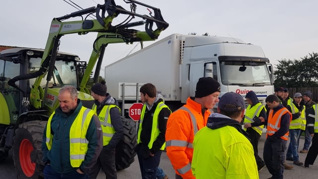 Farmers mount protest at beef processing site in Kilbeggan