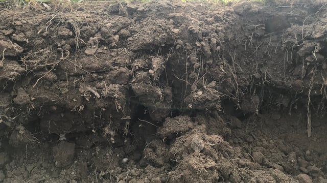 Advice and insight for regenerative agriculture enthusiasts