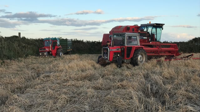 Readers' pics: Harvest, ploughing and sunflowers