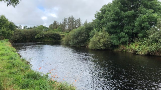 Sewage from 35 towns and villages 'flows into environment daily'