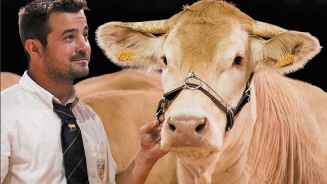 Sommet de l'Elevage livestock show will 'go ahead as planned' in October