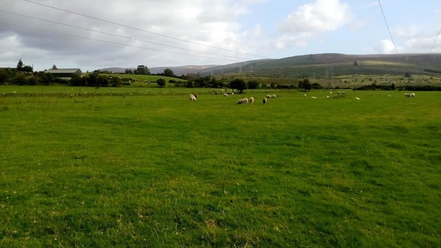 What was Leinster's story in the IPAV farm report?