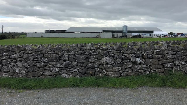Dairy focus: 8 farmers and one leased farm in Co. Roscommon