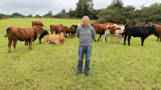 'I've done it all and I can't make a penny' - top performing suckler farmer