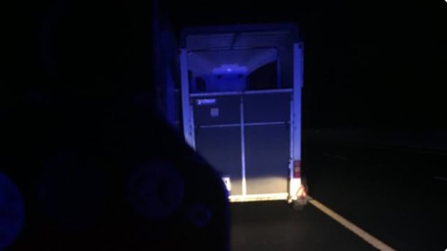 Motorist towing horsebox 'reined in' by Gardaí