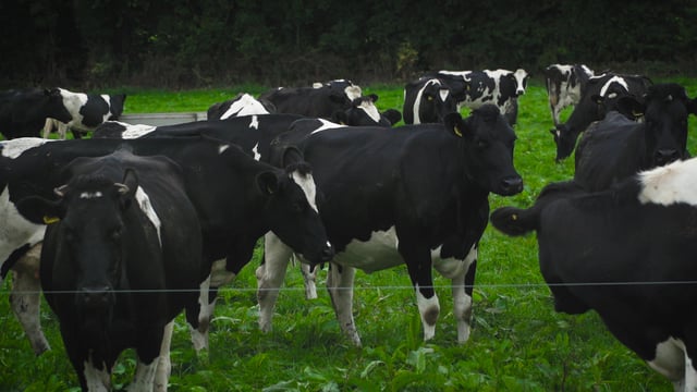 Video: How can I improve the environmental and efficiency performance of my farm?