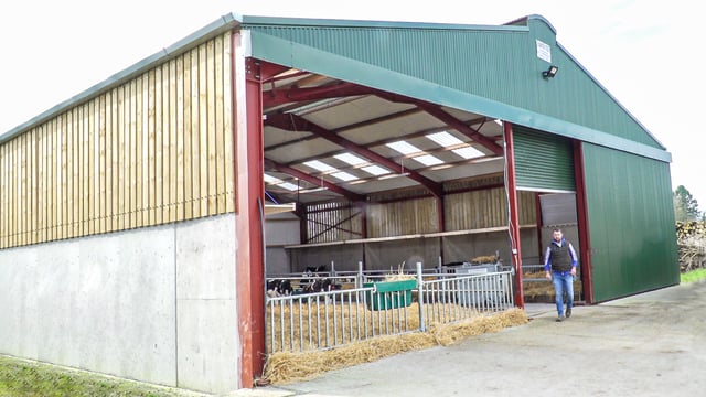 Diary date: On-farm dairy calf-to-beef masterclass planned for Co. Kilkenny