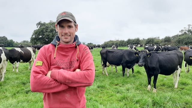 Save €581/week by keeping the cows at grass