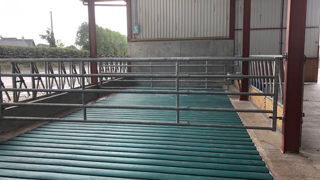 11kg carcass weight increase in cattle on rubber mats
