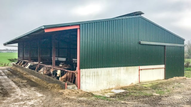 Farmers forced to house: Have you adequate space for your cattle?