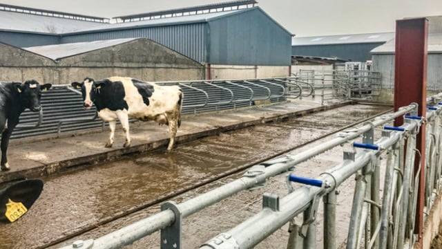Gearing up for winter: Attention turning to getting the farmyard ready