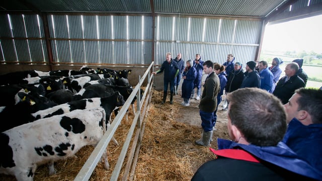 Loughbrickland dairy farmer hosts EU Sustainable Dairy Farm Visit