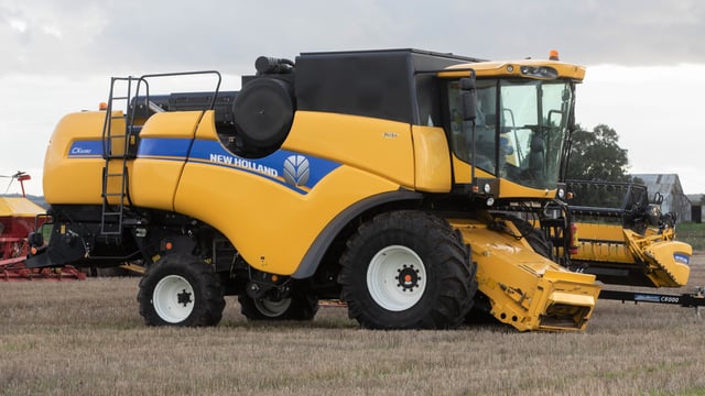 Auction report: A big bargain or a gutsy gamble at this on-farm sale?