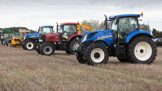 Auction report: 'Blues' and a 'red' sibling go under the hammer