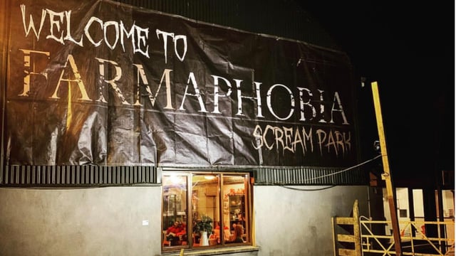 40,000 visitors descend on Meath-based beef and sheep farm over Halloween season