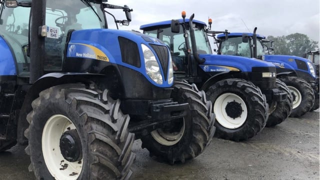 Auction report: Brace of 'blues' at 'on-farm' sale in Co. Kilkenny