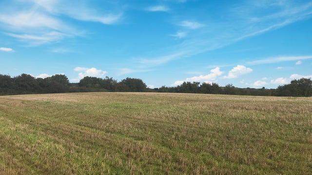 14ac roadside holding in Blackwater, Co. Wexford, for auction