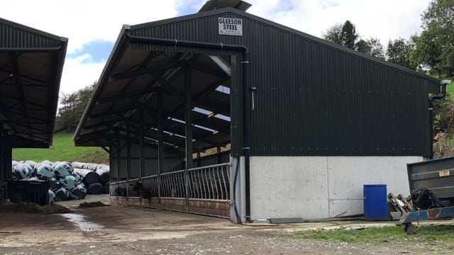 Buildings focus: Housing for 130 head of cattle in a 12-bay slatted unit