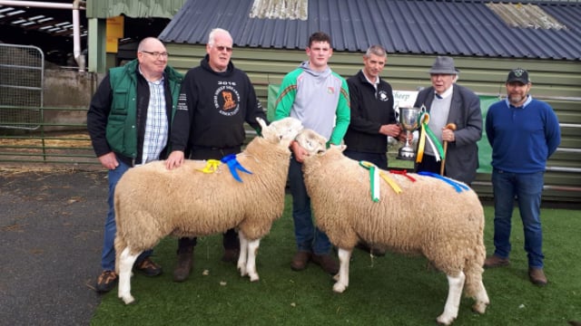 Wicklow Mountain Sheep Breeders’ Association holds 77th annual show and sale
