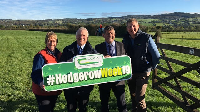 Contractor best practice urged at launch of Hedgerow Week 2019
